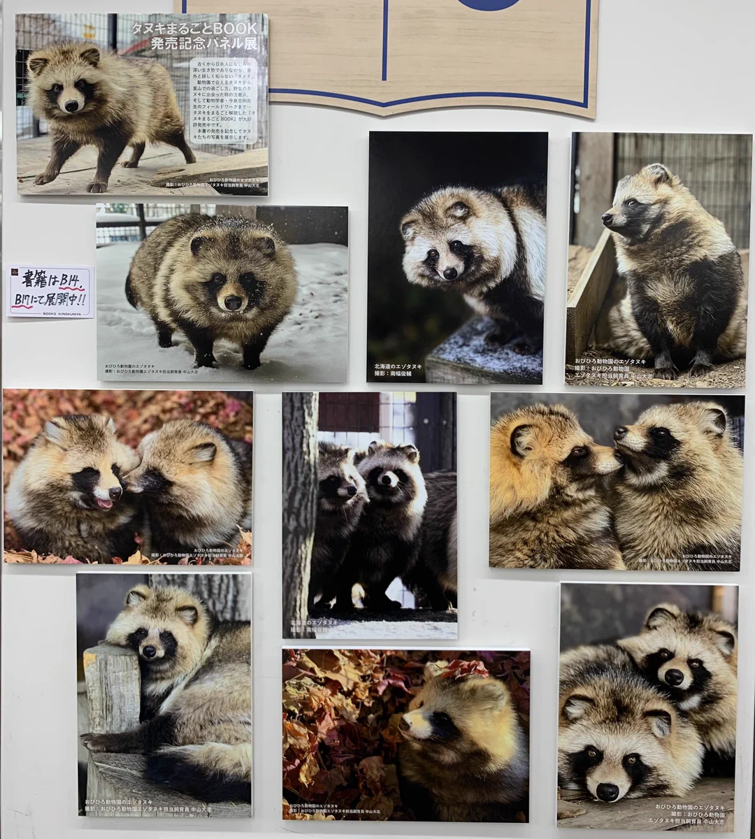 紀伊國屋書店 新宿本店 on X: 