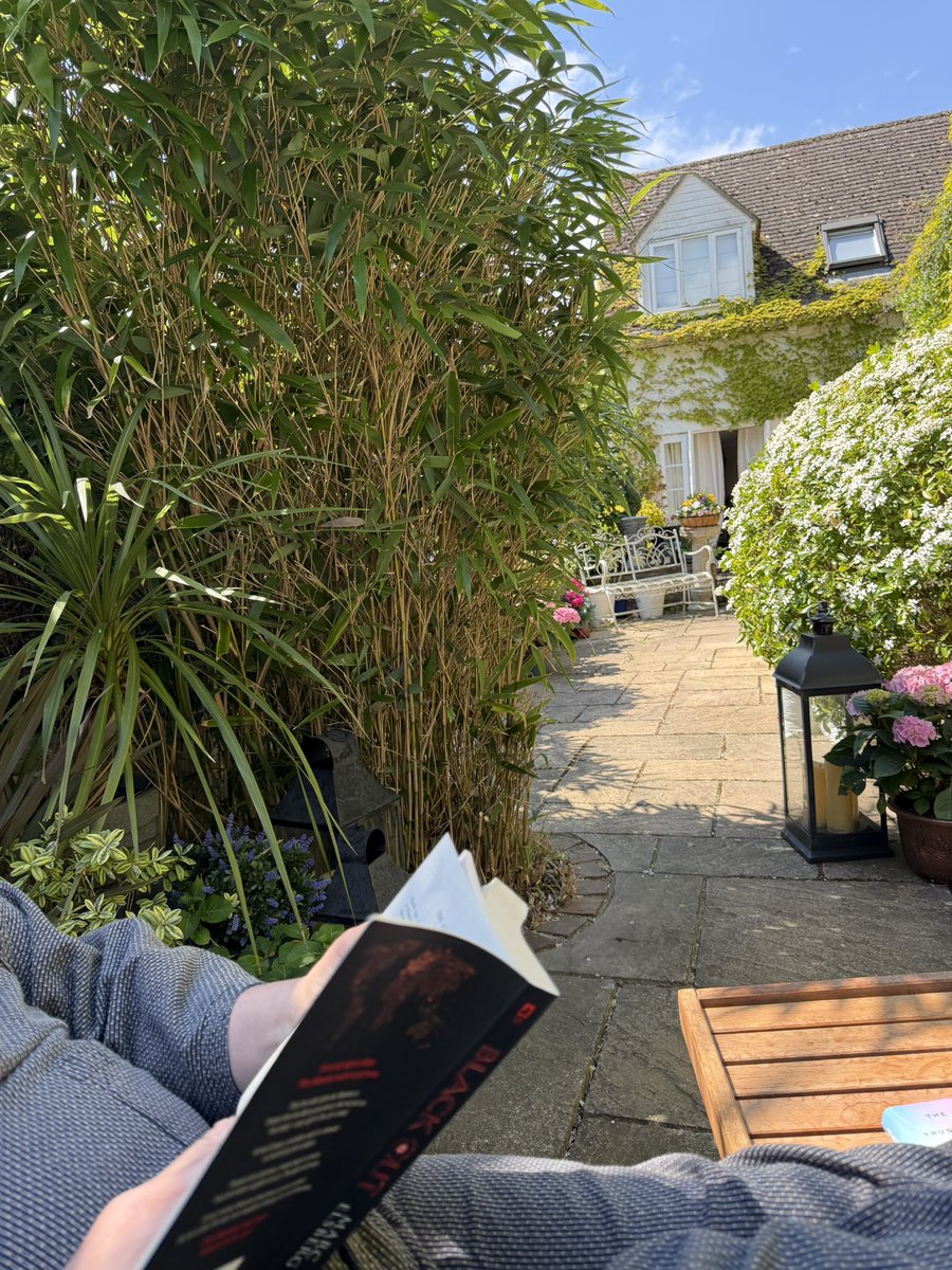 JanLindyJames's tweet image. Another day in wedded paradise ♥️
#gratitude
