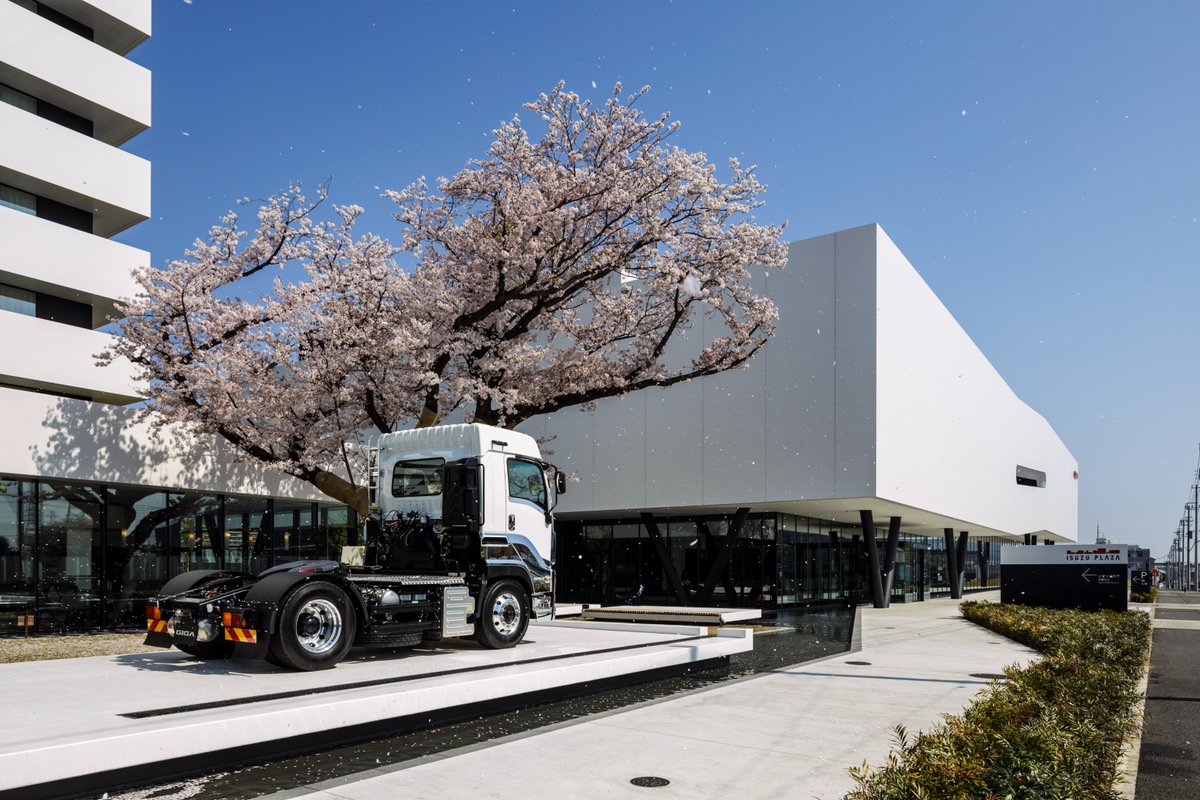 sakakura_aa's tweet image. [archive 2017]
ISUZU PLAZA / 2017 Kanagawa, Japan / Sakakura Associates

sakakura.co.jp/info/?p=7158/

#sakakuraassociates #architecture #museum #gallery #isuzu #car #track #vintagecar #isuzu #isuzumotors #isuzuplaza #fujisawa #いすゞ #藤沢
@isuzuofficial 
isuzu.co.jp/plaza/