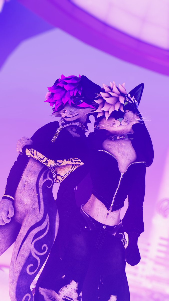 Viper_Blackbear's tweet photo. With the side collie Felwinter ❤️ https://t.co/LA4txBRR2y