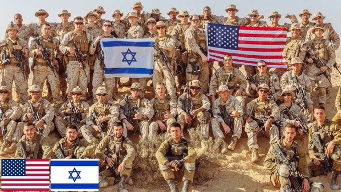 Vivid.🇮🇱 tweet media