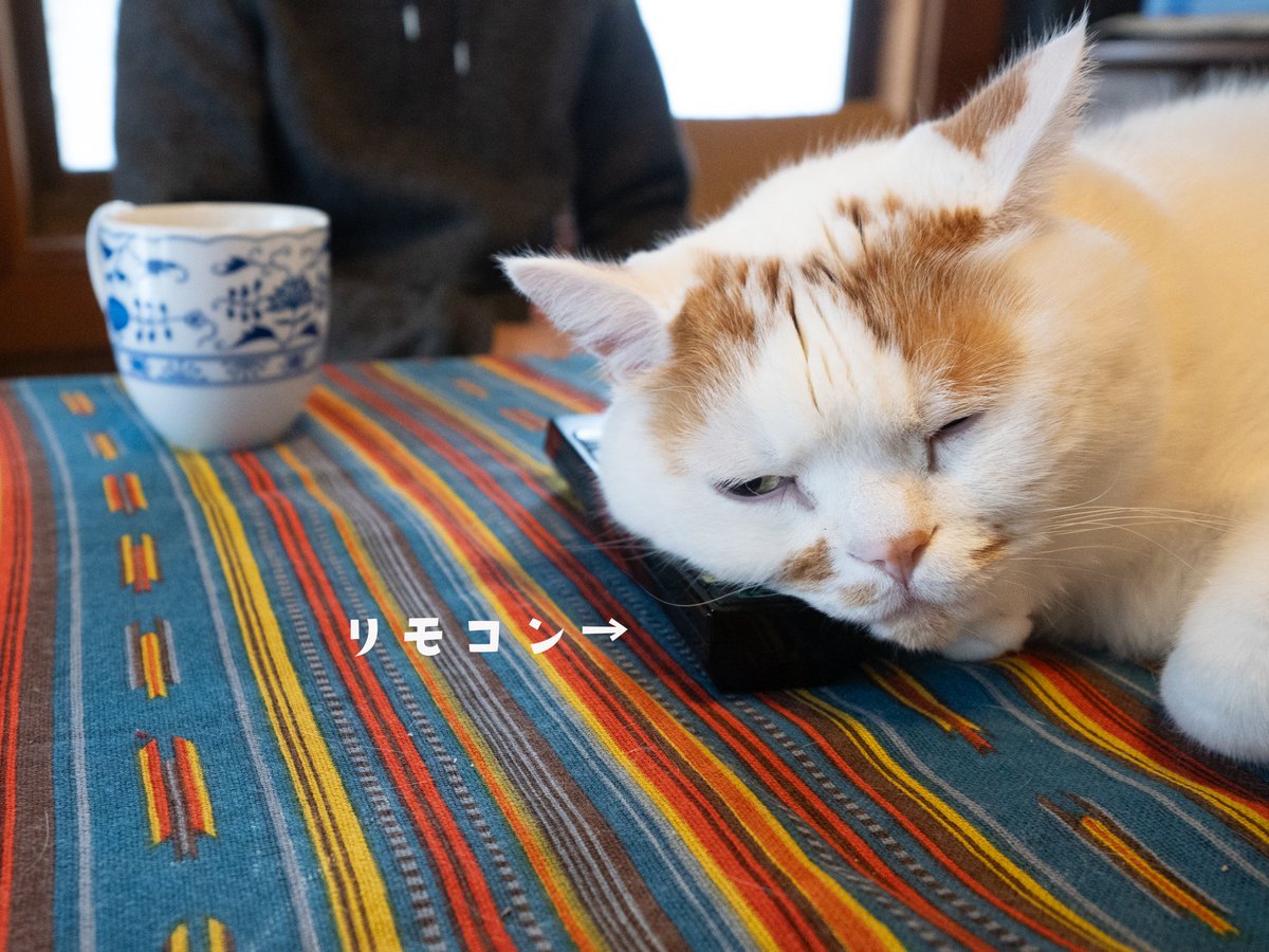 MARCO 🟡写真集「メイ先輩」🟡 (@marco74444) / Posts / X