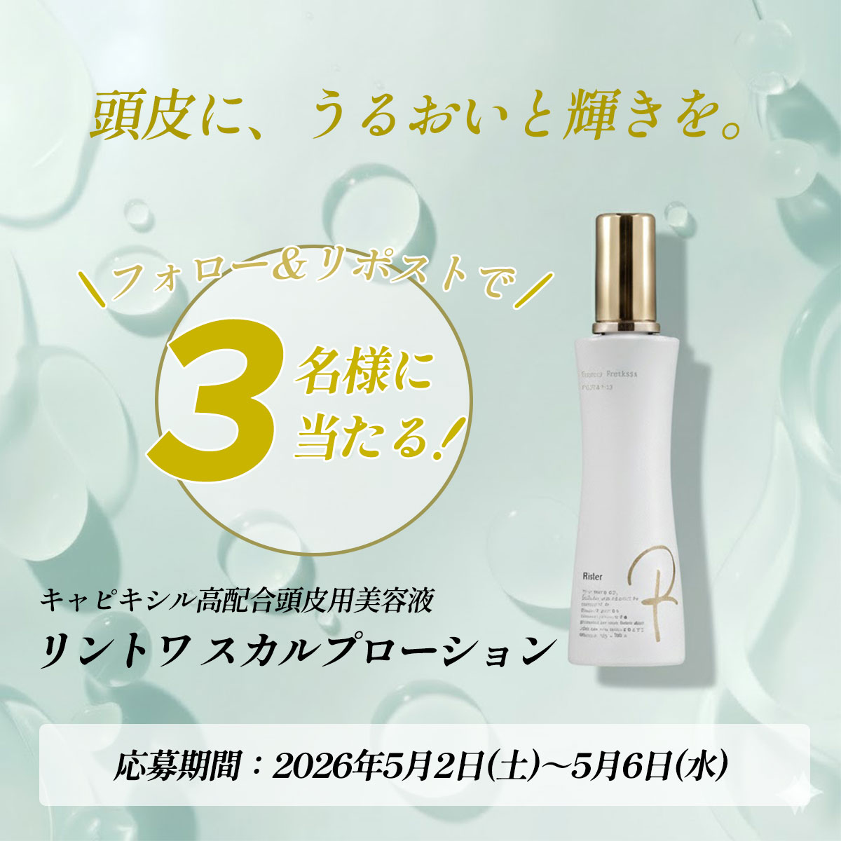 リントワ【公式】 tweet media
