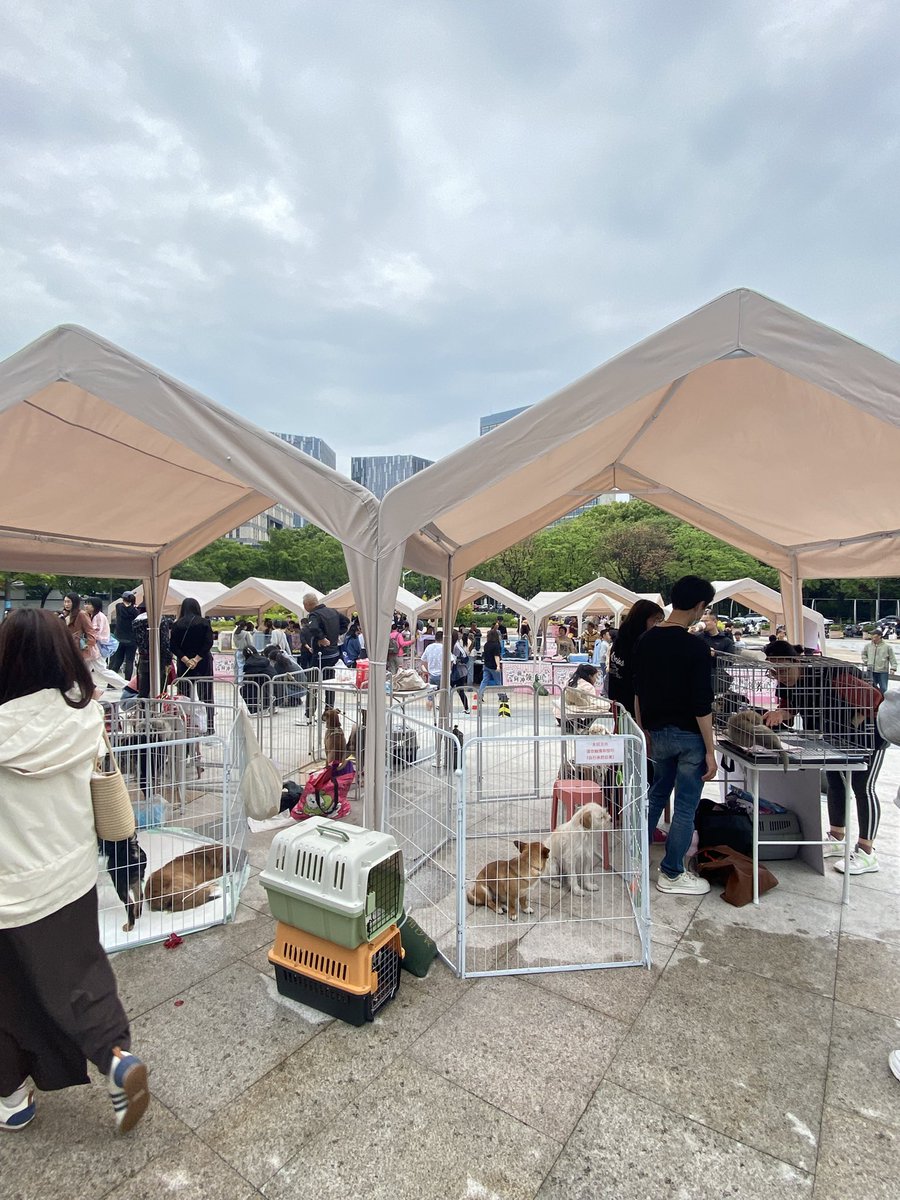 大风 tweet media