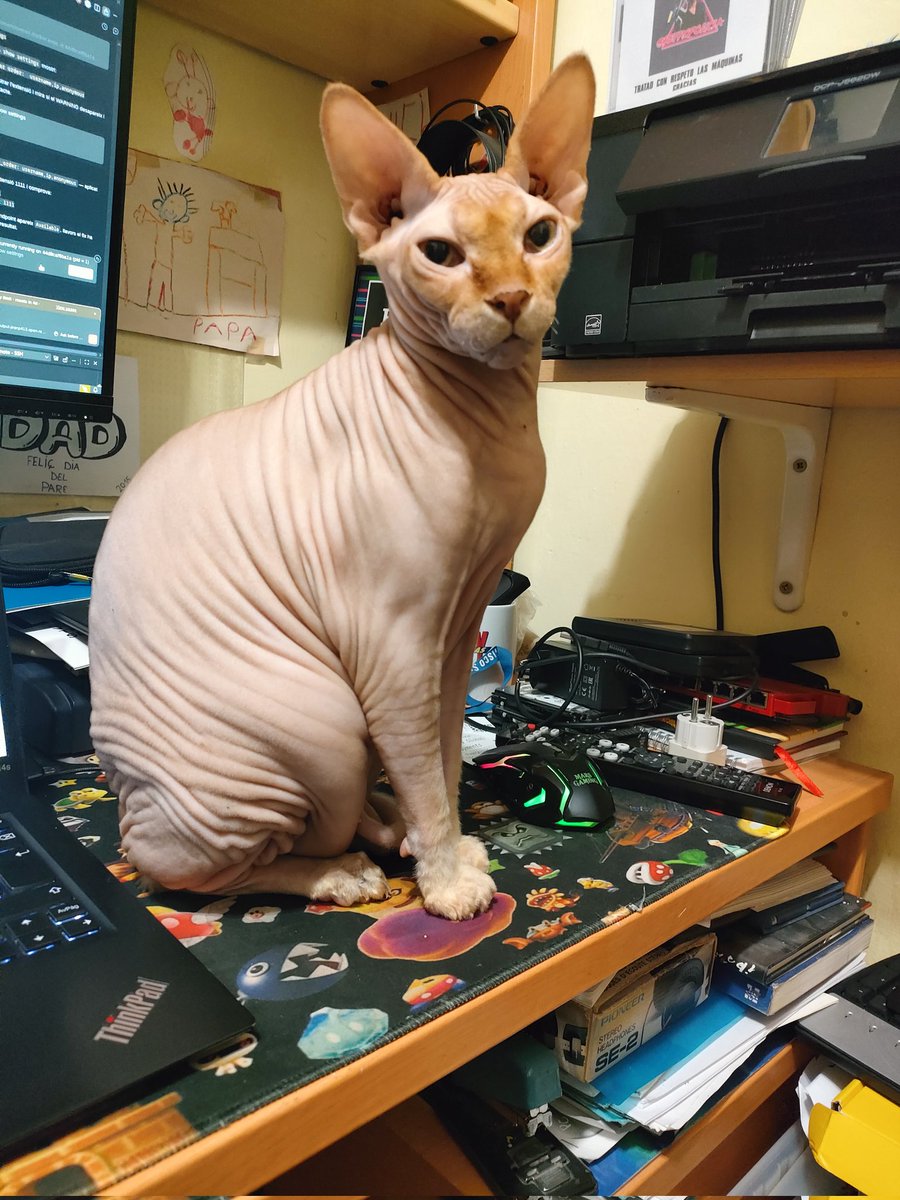 craem_'s tweet photo. Tengo ayudante nuevo ;) https://t.co/F6OvLatc56