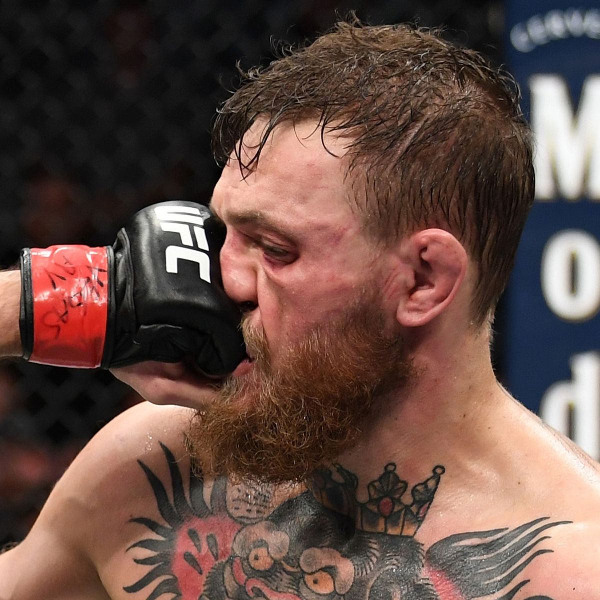 Gageldonk_'s tweet photo. @SStricklandMMA @ufc I remember a bitch who just talked like you. https://t.co/KZcGFKewUE