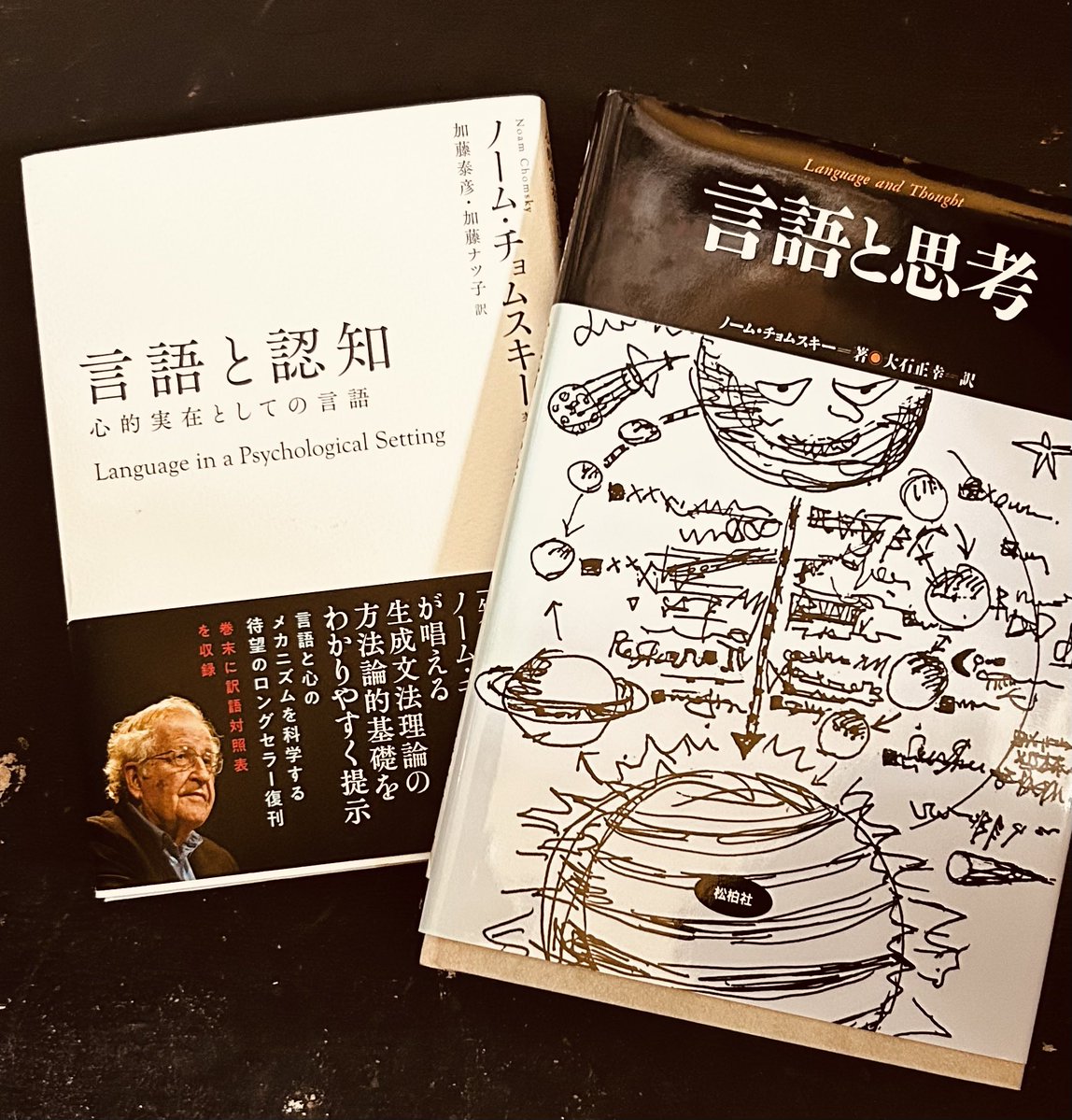 チョムスキ-について調べることがあり、がんばって読んでいるのですが、私にはなんだかよくわかりません。まいったね。