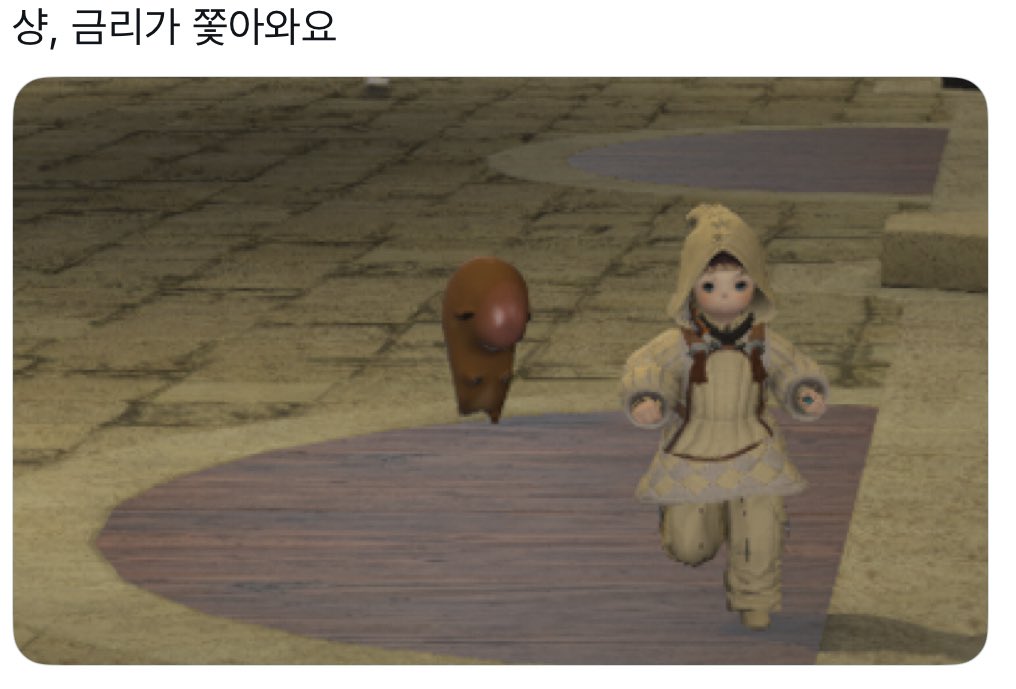 굼벙이(상태: 애쉬아일랜드) tweet media