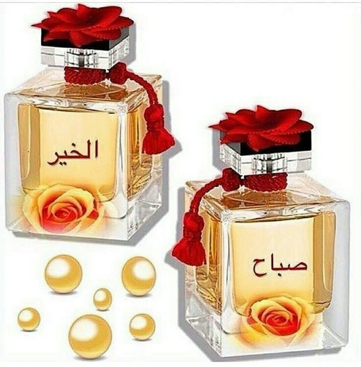 {{ برق_الخيال}} tweet media