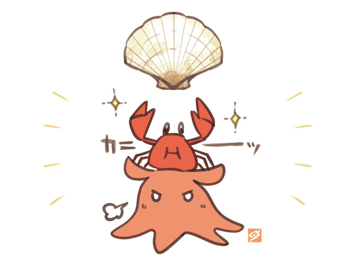 ktjm_9tari's tweet photo. 最強✨貝がら好きの🐚 https://t.co/pe0uhAD94m