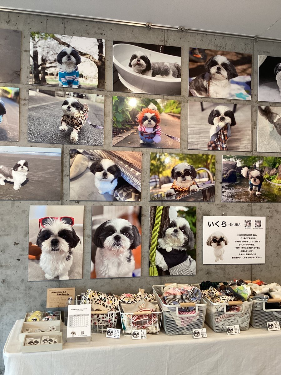 TODAYS GALLERY STUDIO.公式(TOKYO & NAGOYA) tweet media