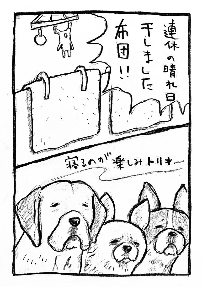 橋本もく tweet media