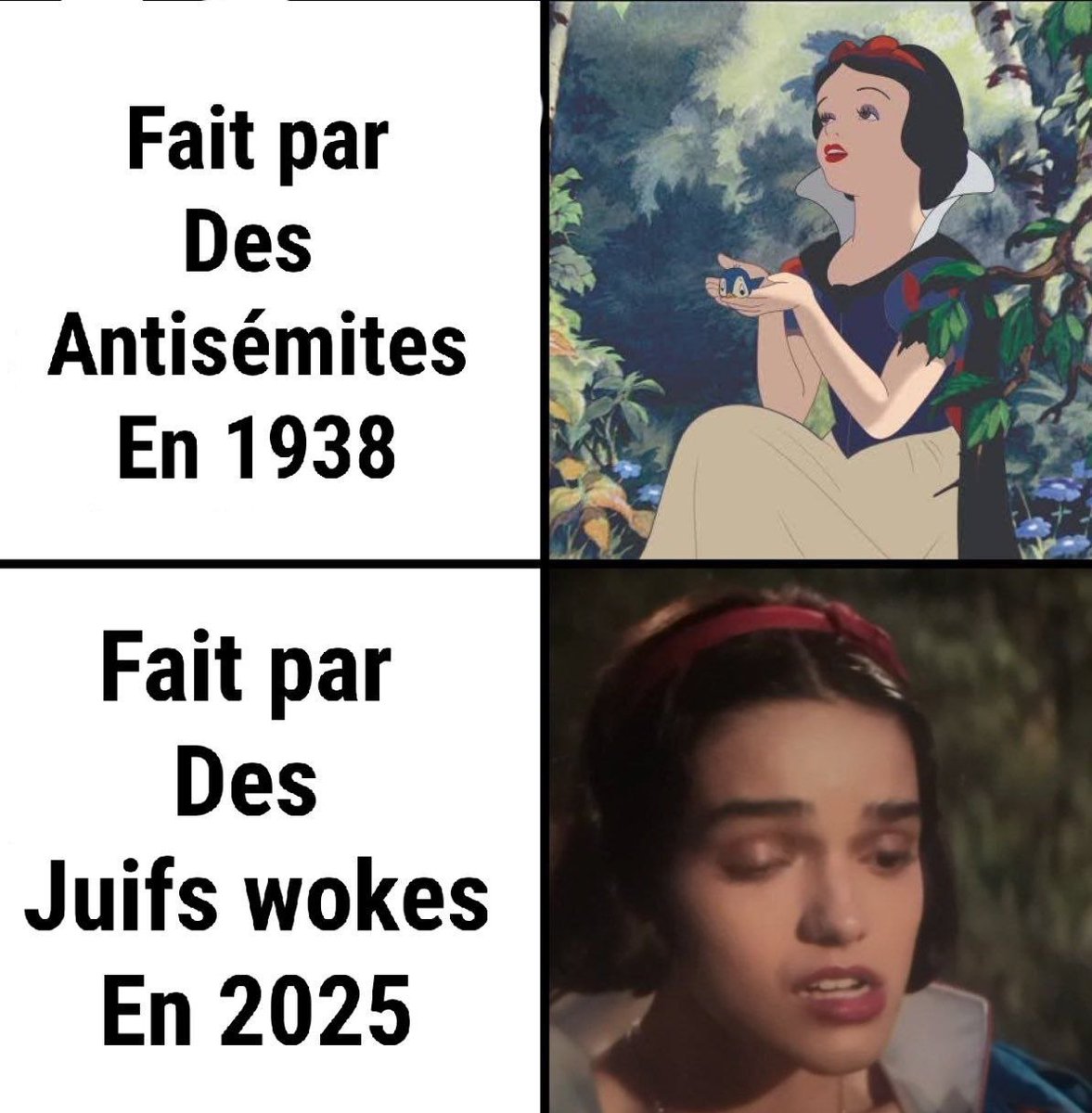 Claire Langoulant - Royaliste Légitimiste tweet media