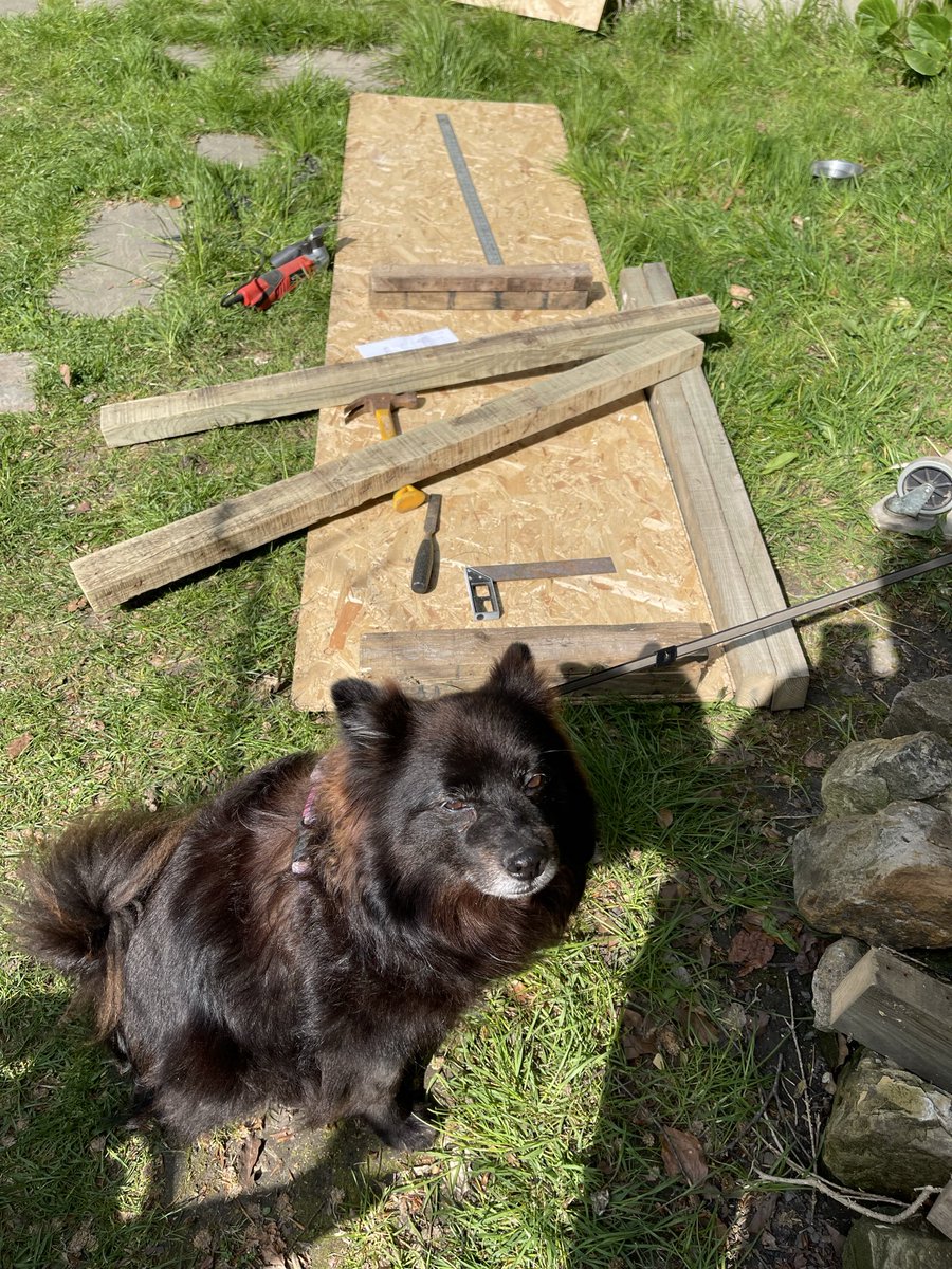 meikiecakie's tweet photo. Building of big rectangular wheelie plant pot is well underway. Entirely made out of left over or pallet wood. I paint all the pieces before I put them together so they won’t rot at the joins like so many purchased wood things do. #palletprojects https://t.co/58v06NtDQA