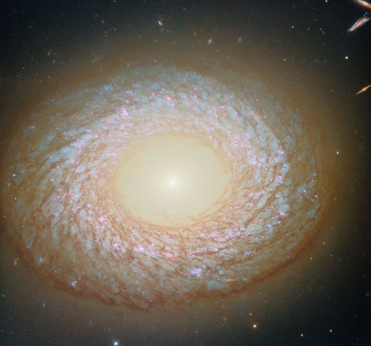 星空のご案内 🌌 NGC 2775、めっちゃ不思議な銀河✨ 6700万光年先の蟹