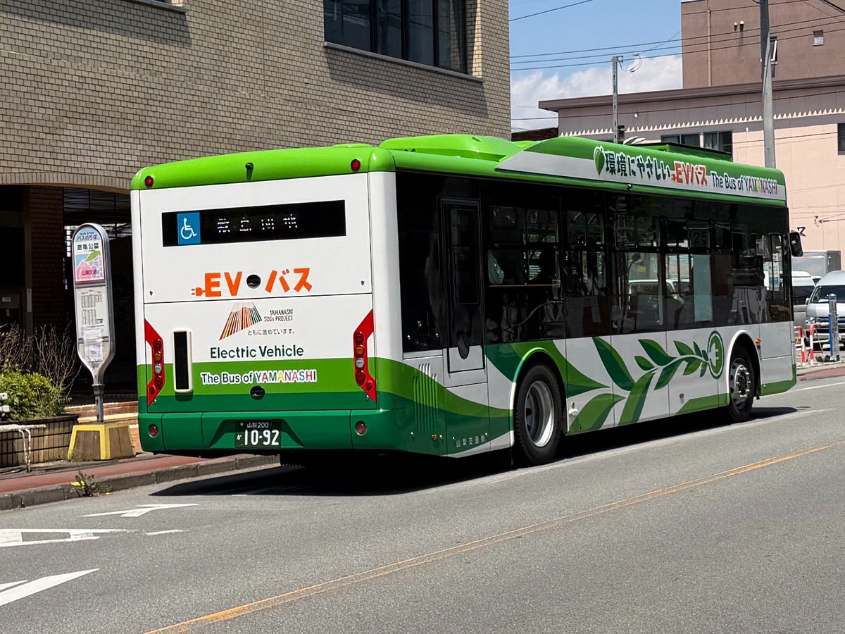 シーガル tweet media
