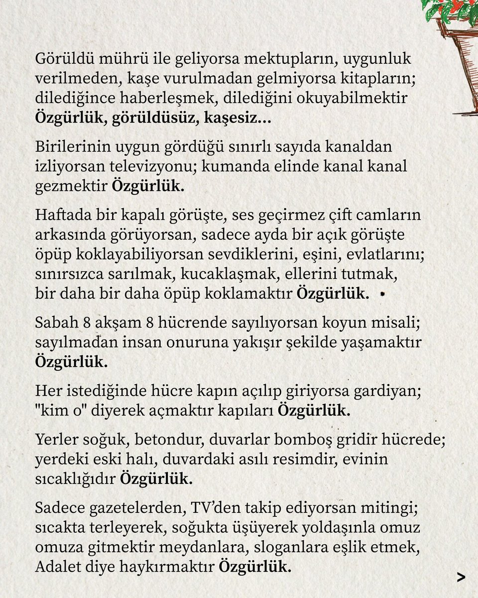 inan güney tweet media
