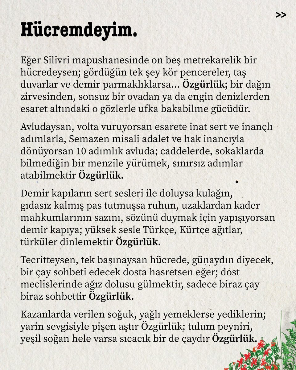 inan güney tweet media