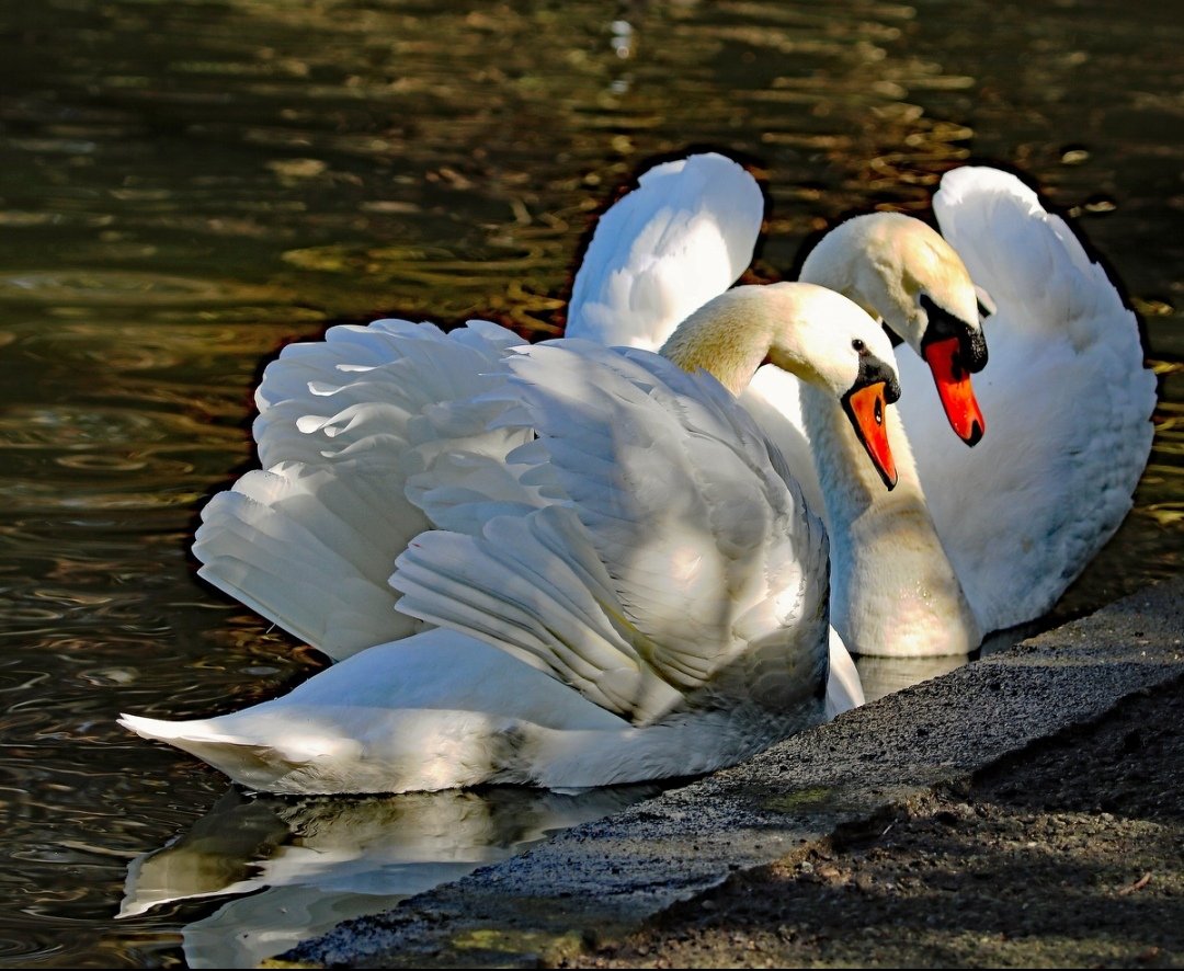 dubliner24's tweet image. Good #morning #Dublin ya big ride 😘