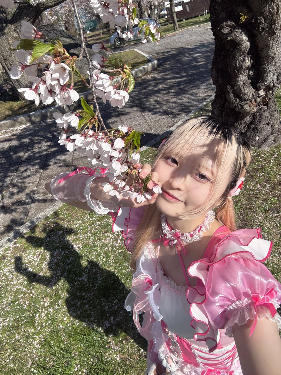 EIMY【LITTLE*BLUE】 tweet media