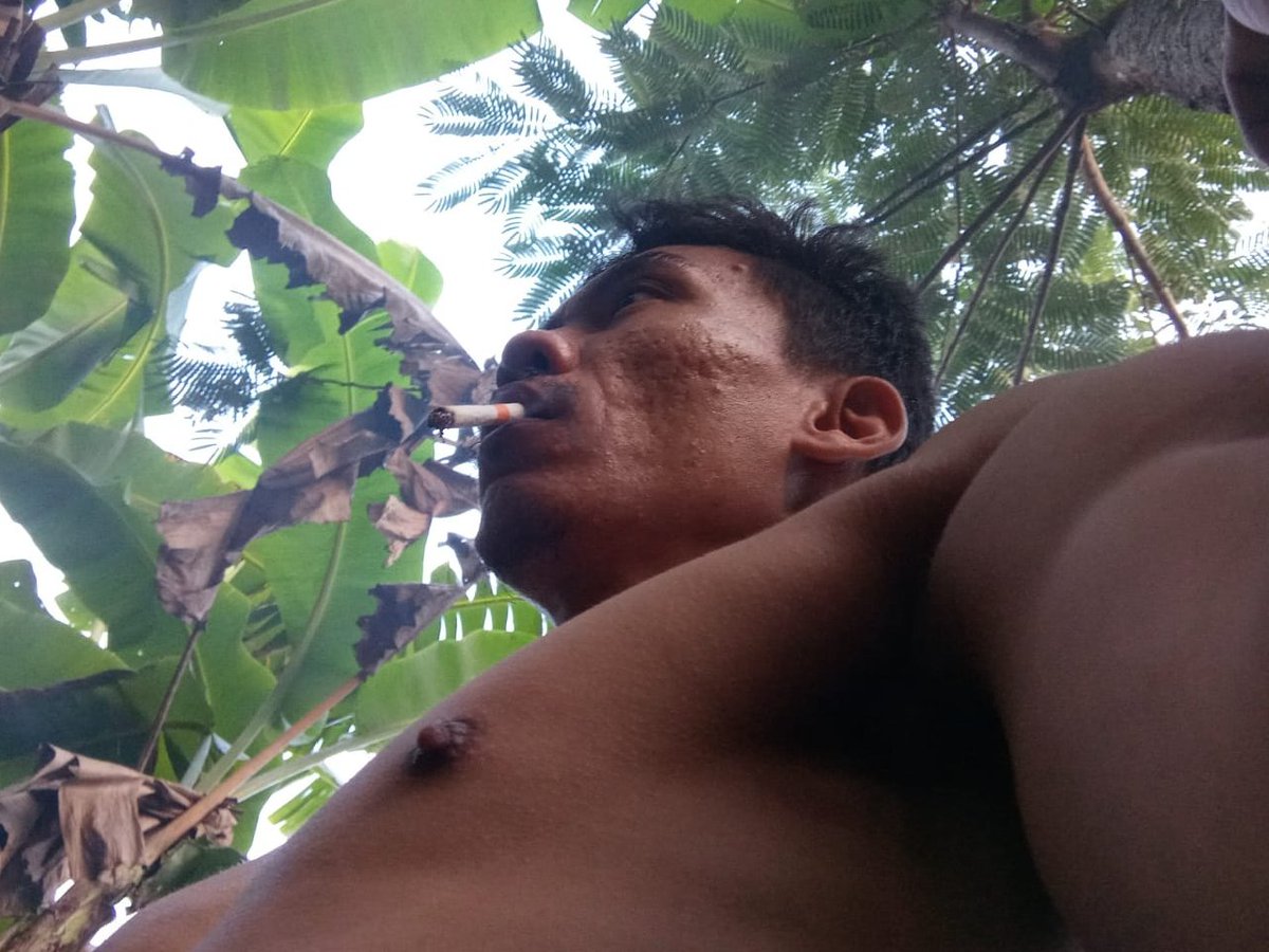 kuli tweet media