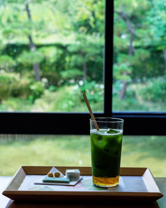 茂木雅世（お茶もきこ） tweet media