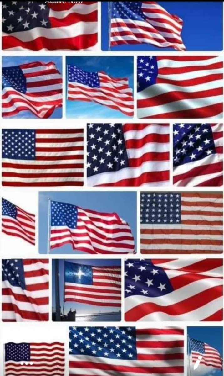 Terry Smith PRO-TRUMP🇺🇸MADE IN USA tweet media