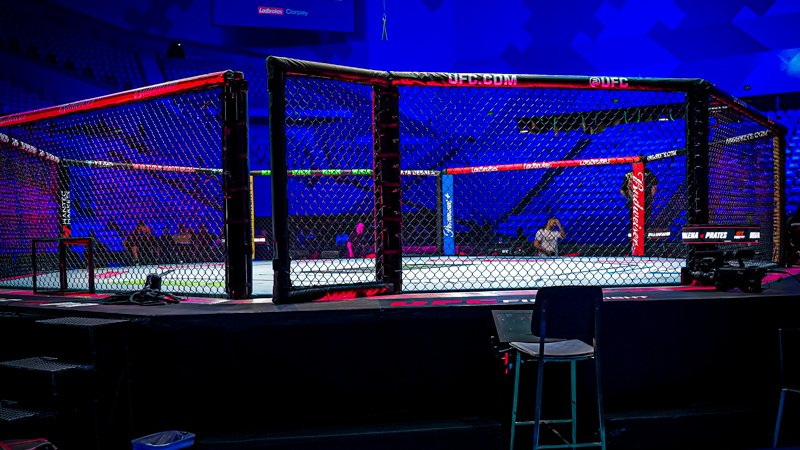 UFC tweet media