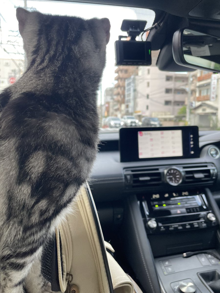 せあはねむい tweet media