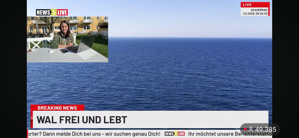 MkVarietyp3526's tweet image. Endlich frei! 🕊️ Timmy hat es geschafft und wir sind überglücklich. Danke an alle, die mitgefiebert und Kraft gesendet haben. Jetzt heißt es: Volle Kraft voraus, kleiner Kämpfer! So schön, dass du zurück bist. ✨🙏 #TimmyHope #Freiheit #Danke #PositiveVibes #news5live