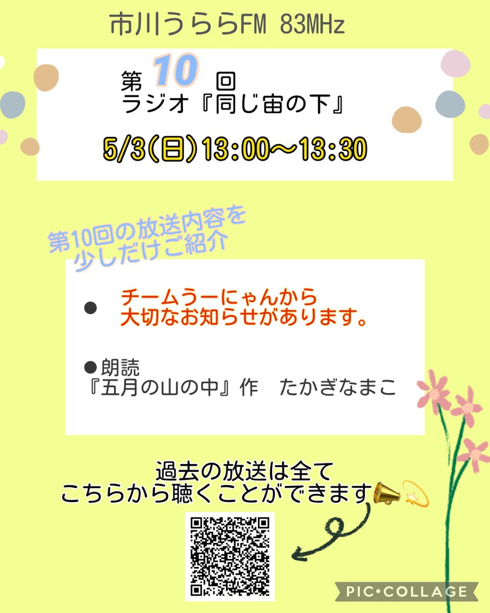 うさ-Usa- tweet media