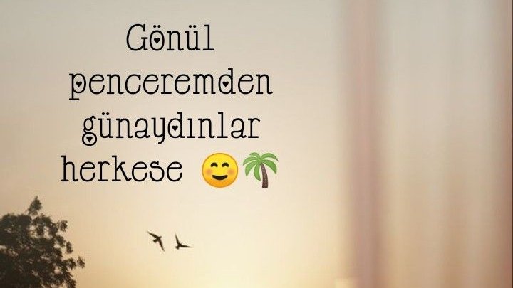 ÇİSEM's tweet media