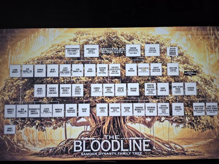 wrestlecuts's tweet image. #WWERAW #SMACKDOWN
Since Roman became champion, ALL the Bloodline members are now involved in the story,  in both brands 
Usos,Jacob,Solo,Talla,Tama,Tonga,Jc 
🫡 we are so back ( even Jacob was talking to someone 🫣more members of bloodline ? ) #WWE #RomanReigns