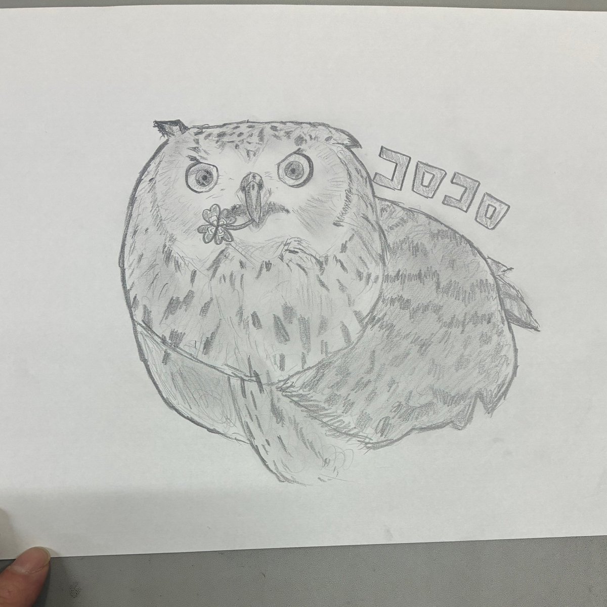 バラちゃん tweet media
