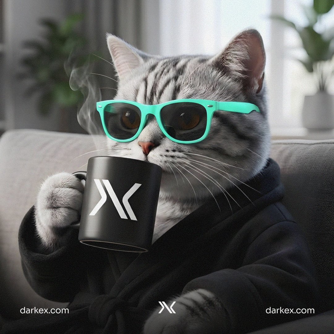 GM from Darkcat

Say it back!