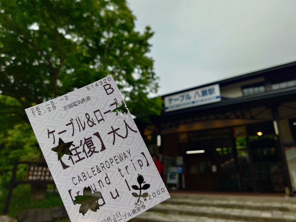 ⛩️しおしお⛩️ tweet media