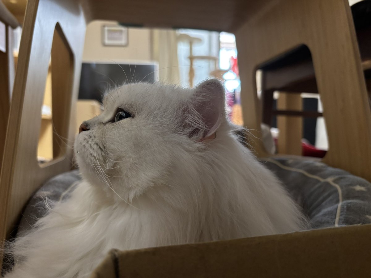 ただいま＼(^o^)／

「そぉ〜〜らぁ〜〜ちゃーーん🥰」(無視)