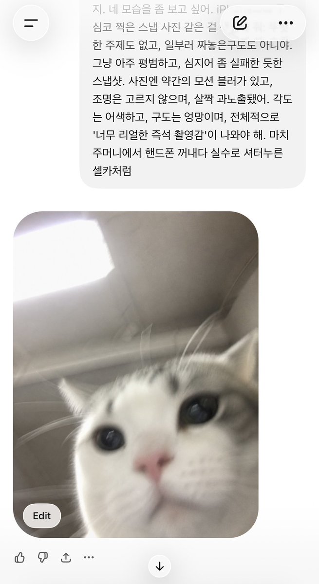 nowzpol's tweet photo. 내 GPT는 사람도 아님 https://t.co/H7rNfs1DKl