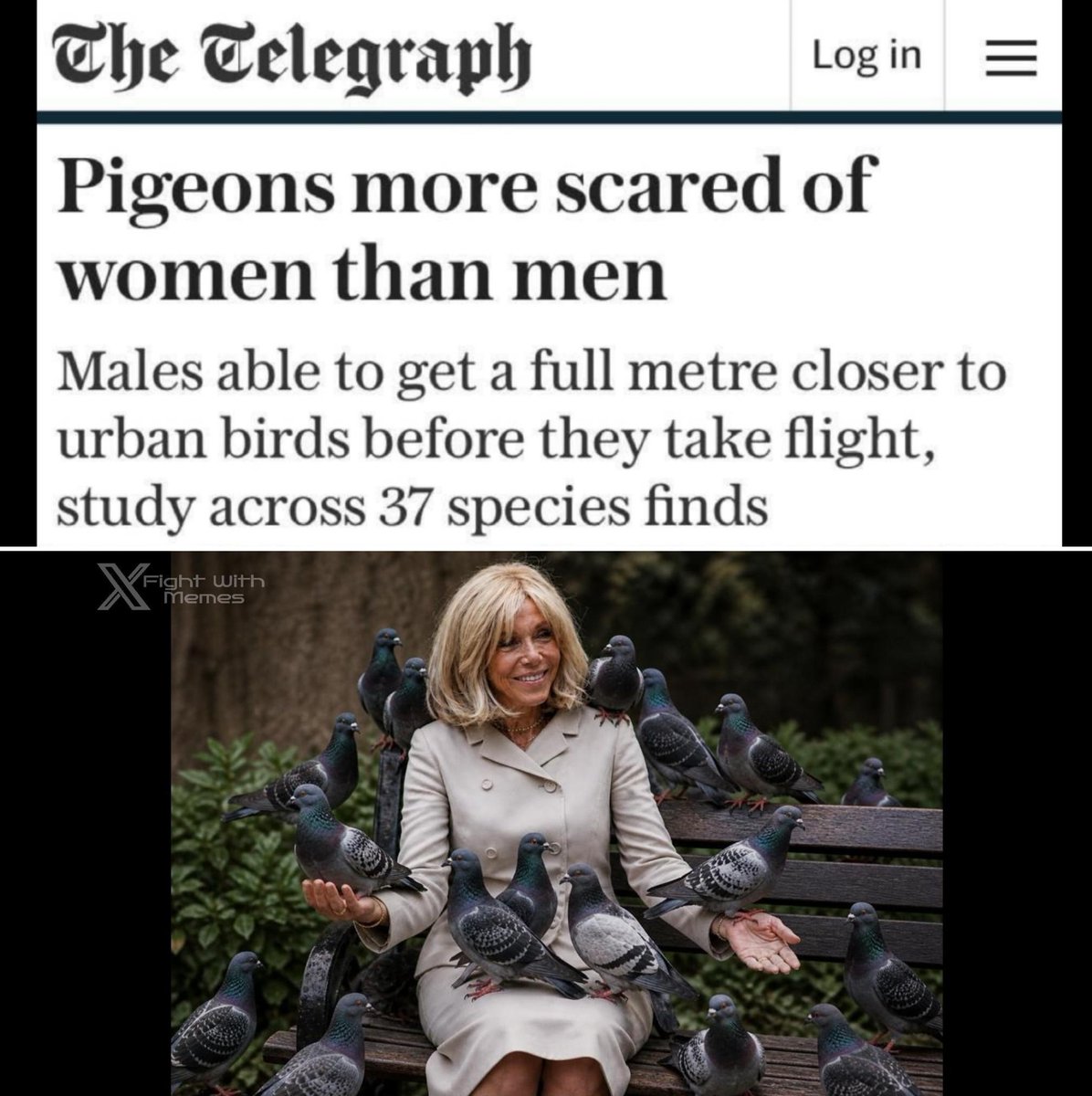 Fight With Memes tweet media