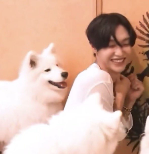 พวกมะม๋ารุมแกล้งจั้นอีกแล้ว!😾