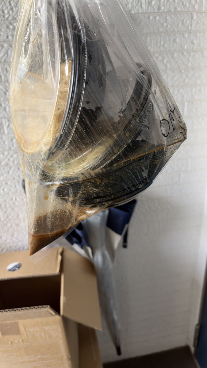 かす照໒꒱ tweet media