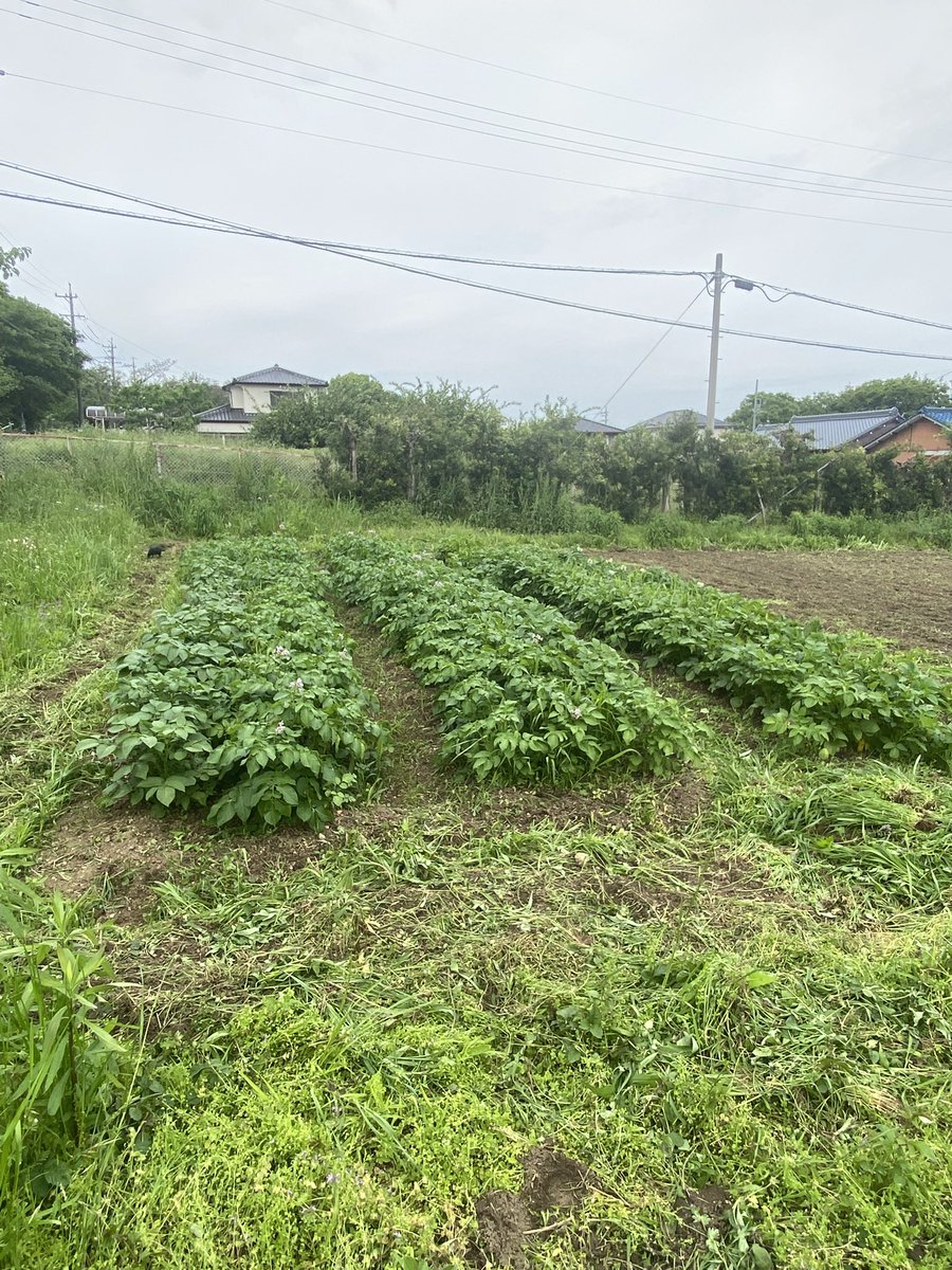 はぁ…はぁ…
き、今日はこれくらいにしておいてやる…
(作業時間2時間
