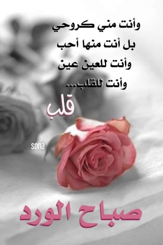 سمرونه مرتين tweet media