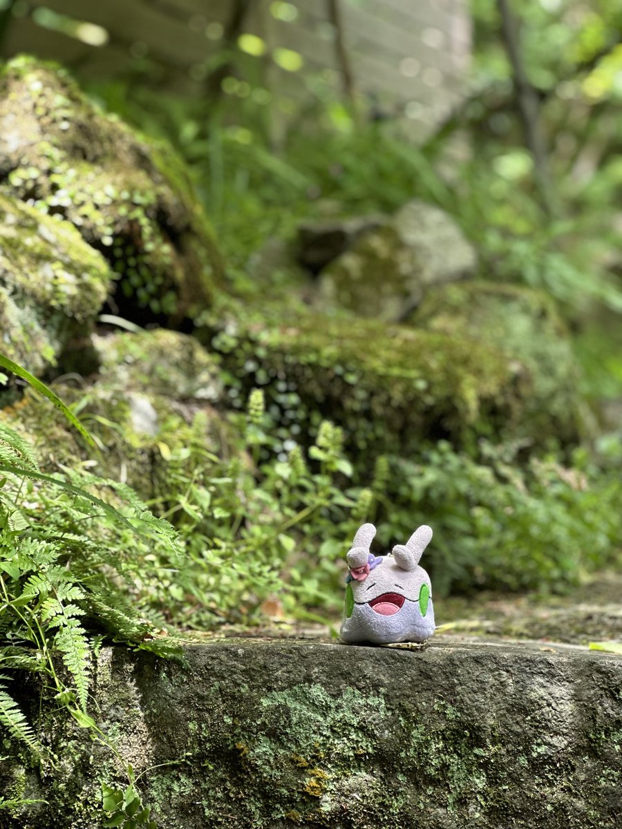 saya_tsuruta's tweet photo. 新緑堪能箱根のヌ🌿✨ https://t.co/rPuLg4kRc2