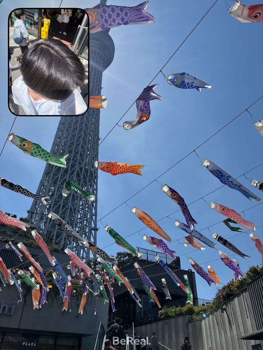 ワタ tweet media