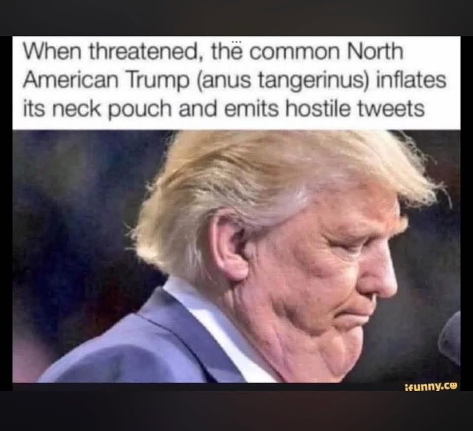 Hucksters's tweet photo. @subtoconnorpls @MarinaPurkiss https://t.co/eaY0fuC7tk
