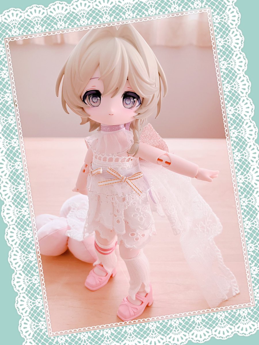 今日のぽんちゃん tweet media