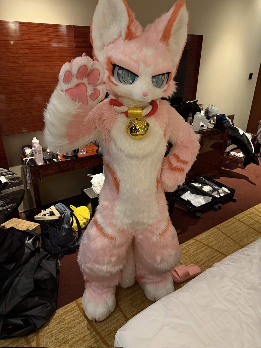 千葉昴_Kig🐾 tweet media