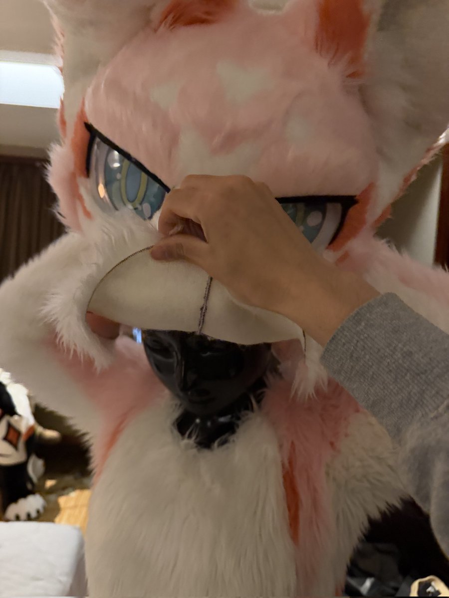 千葉昴_Kig🐾 tweet media