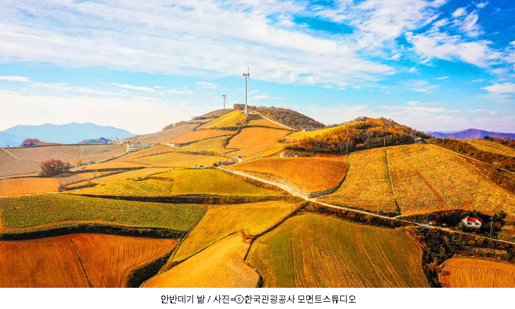 오로라 tweet media